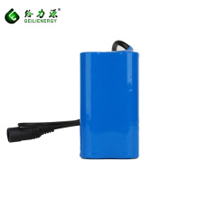 Batterie Li-ion 18650 Geilienergy 1800mAh 11.1V